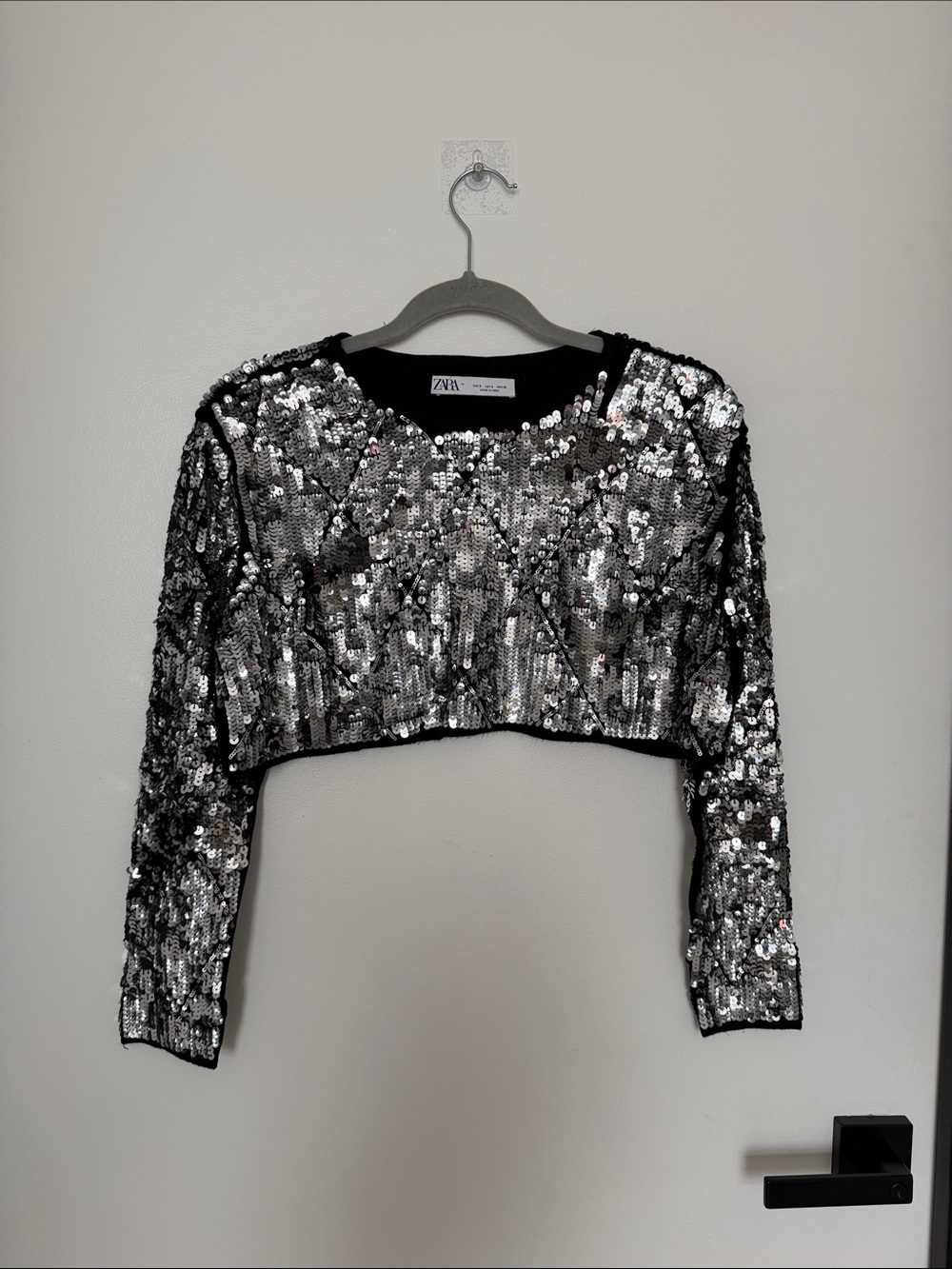 Zara Silver Sequin Cropped Top